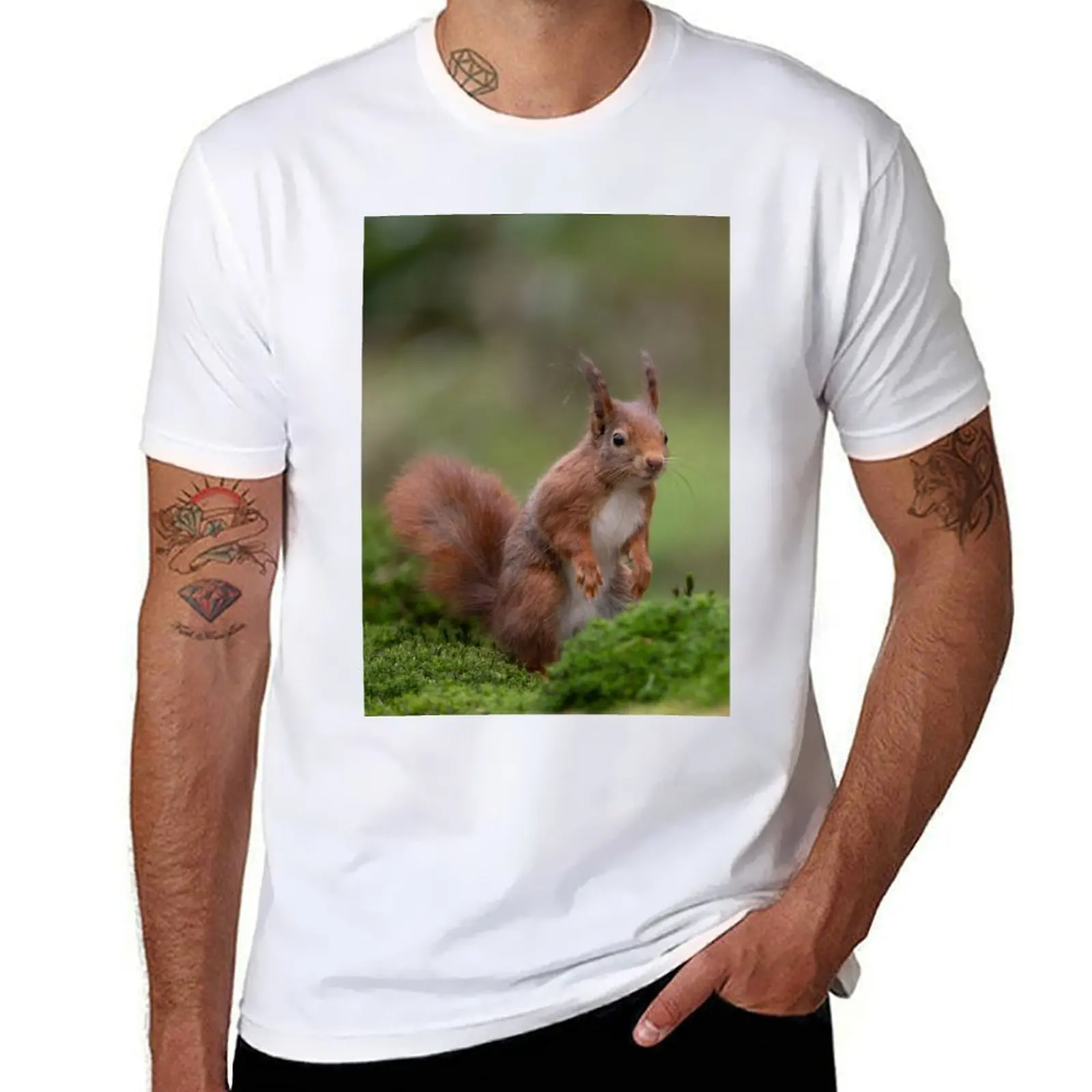 

Red Squirrel T-Shirt man t shirt heavy cotton man t shirts for men casual T-Shirt