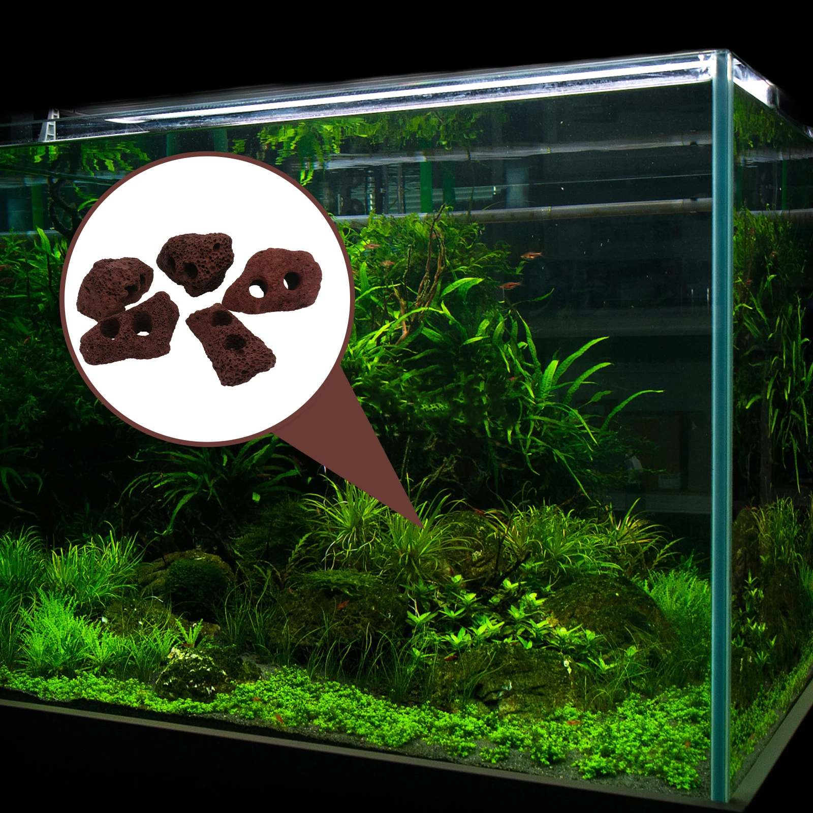 

5 Pcs Volcanic Rock Decorations Fish Tank Plant Fixed Ring Aquarium Stones L scape Accessorie Water Grass Shelter Durabl Pet