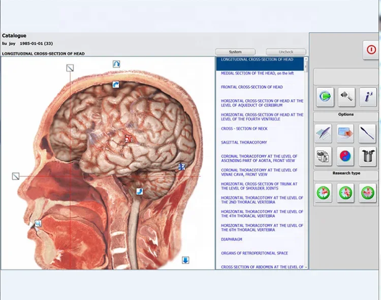 Nuevos productos medicina complementaria y alternativa bio escaneo dispositivo de análisis de salud corporal cazador 4025 NLS con auriculares