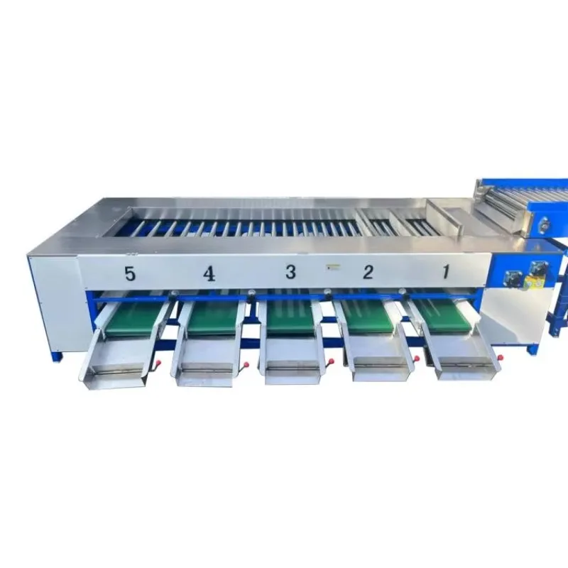 Fruit Vegetable Grader Sorting Grading Line Machine and Clean