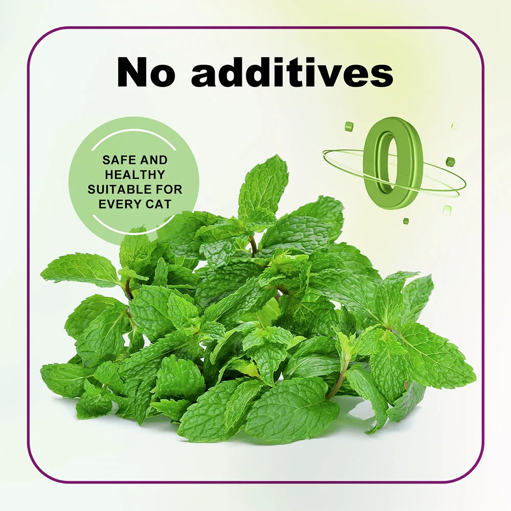 Organiczna mieszanka kocimiętki Premium Idealna dla kotów, zastosowań ze maksymalizowaną potencją swojego kociaka jest gwarantowana na przejdź Crazy 100 ml