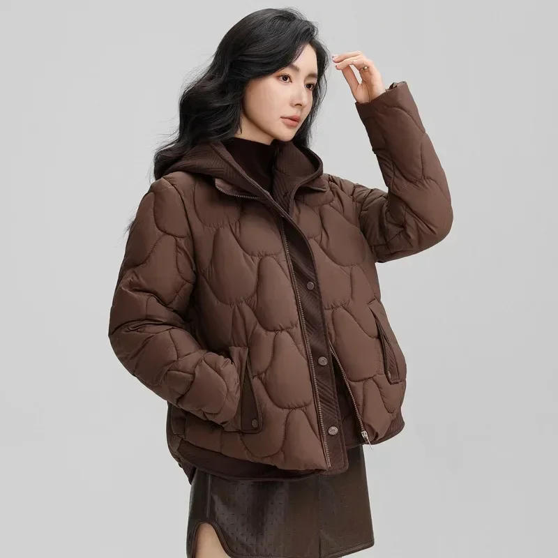 2024 Winter New Fashionable Loose Down-Filled Cotton Jacket - Plush Hooded Cozy Puffer Coat for Women