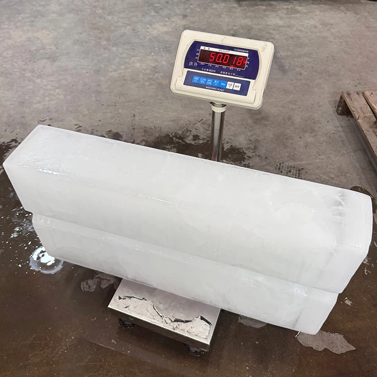 Stainless Steel 1T Ice Block Maker 50kg 10 Molds Motor CE Certified  Air/Water Cooling Imported Custom
