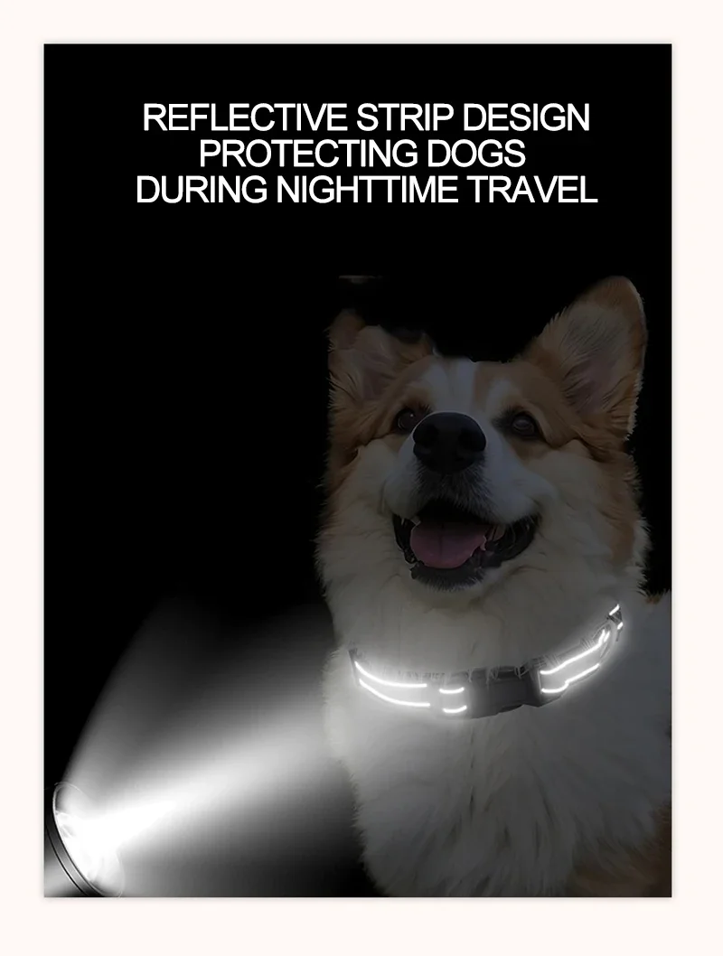 1 x reflektierendes Hundehalsband mit Schnalle, verstellbare Sicherheits-Nylonhalsbänder für kleine, mittelgroße und große Hunde – Detail 11