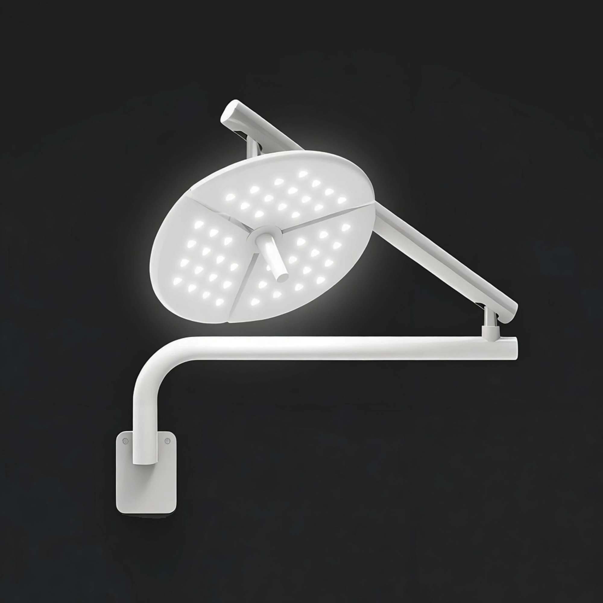60W LED Cold Light Wall-Mounted Dental Surgical Shadowless Lamp Tattoo Pet Surgery Light