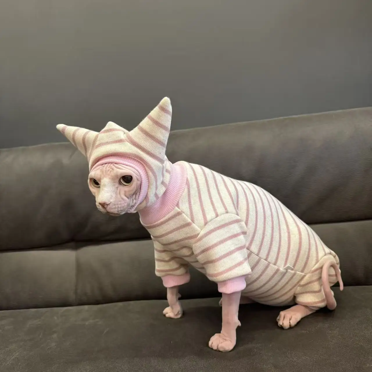 Winterkleding voor Sphynx-katten: gestreepte fleece jumpsuit met muts, warme, volledig bedekkende, vierpotige outfit, jas voor haarloze katten.