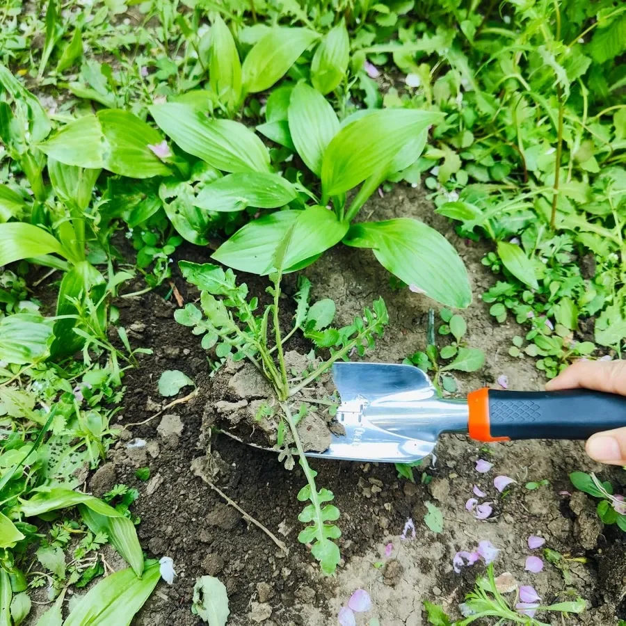 مجموعة أدوات البستنة، مجرفة البستنة المصنوعة من سبائك الألومنيوم، مجموعة أدوات زراعة الزهور، زهور نباتية بوعاء وزراعة الخضروات، من أجل e