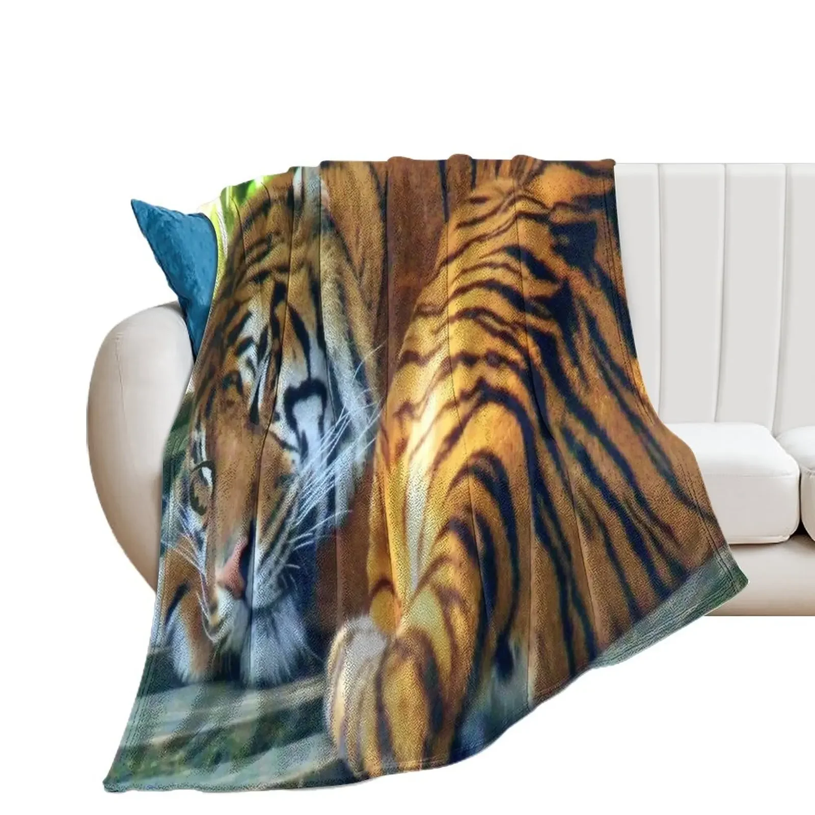 

Sleeping Beauty (white background) Throw Blanket Baby Single Blankets
