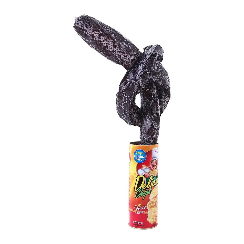 Pran Toy A Can Gag Fool Day Halloween Gift Magic Tricks Jump Stage Toy The Potato Chip Snake Can Spring Snake Toy