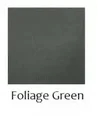 FG