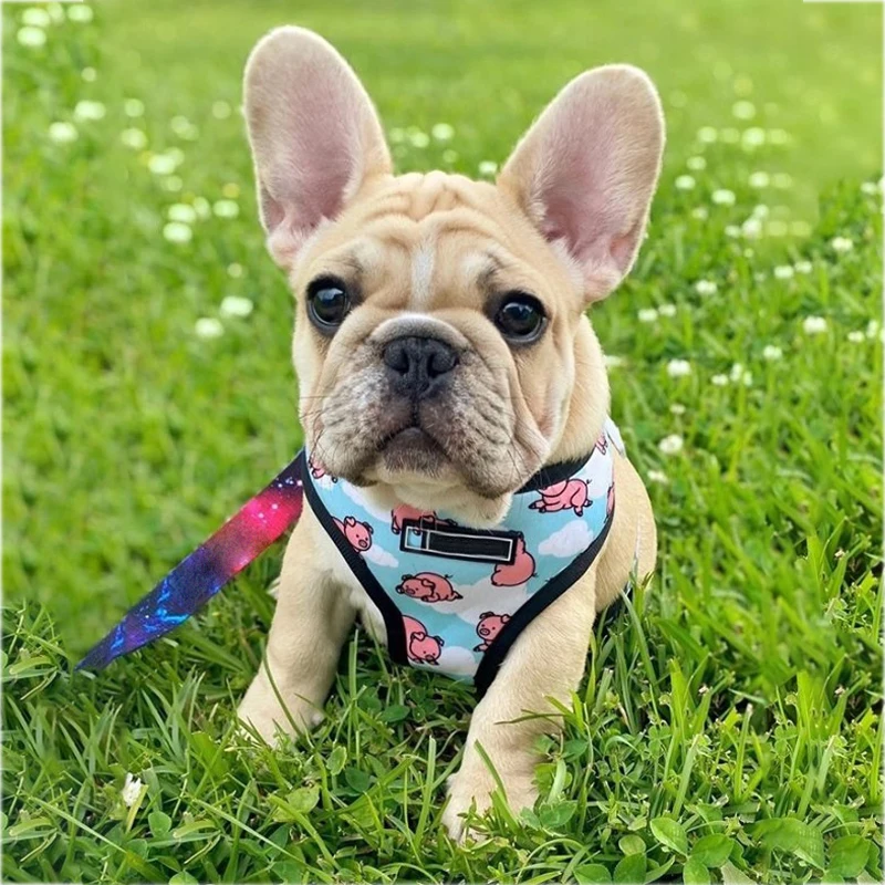 Pink Pig Small Dog Harness With Pull Dog Vest Harnesses For Medium Small Dogs Harness Leash Set Pets Puppy French Bulldog Pug