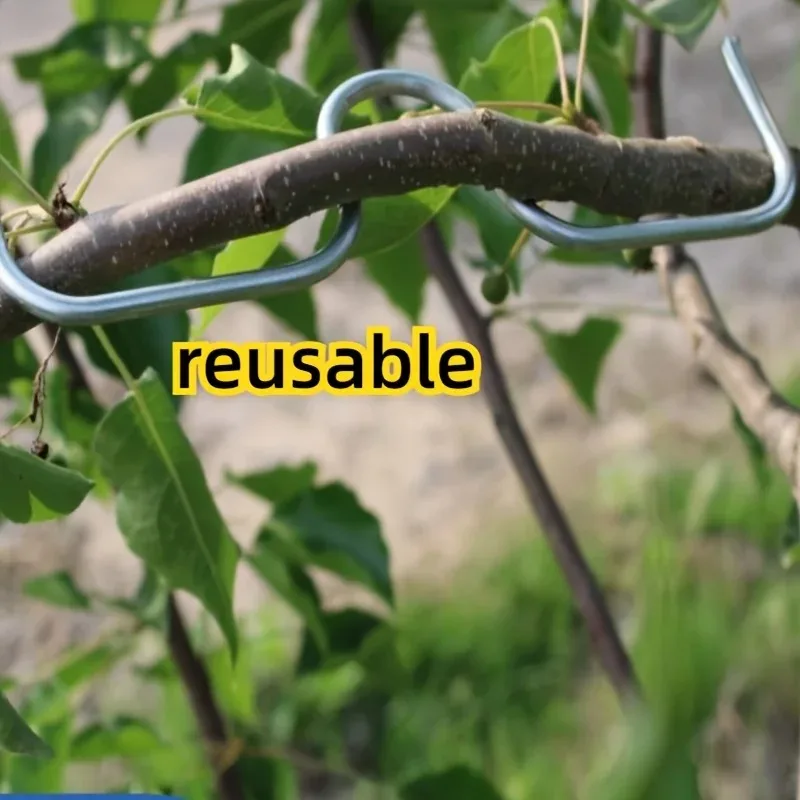 30/50Pcs 4 Size Reusable Branch Limb Spreader Garden Yard Trees Branches Fixator Strong Fruit Tree Support Holder Vine Trainers