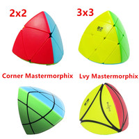 QiYi Mastermorphix Magic Cube 2x2 3x3 zongzi Cubo Magico Rice Dumpling Strange-shape Cube For Children Kid Gift Educational Toy