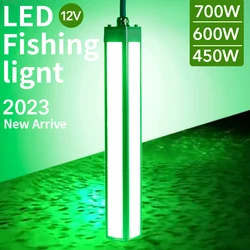 2024 New Arrival 12V 220V 450W 600W 700W fishing lights under water light for led underwater fishing light