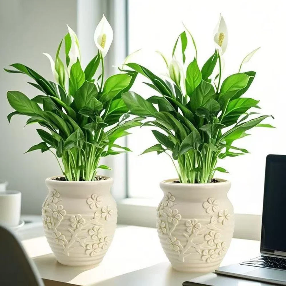 10 Nordic Style Resin Self Watering Plant Pots with Based Hydration for Indoor Gardening and Minimalist Home Office Decor