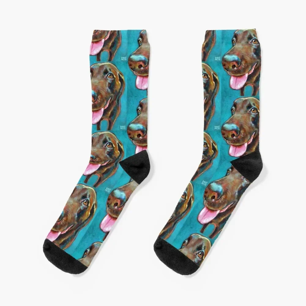 Chocolate Labrador on Blue by Robert Phelps Socks winter thermal colored Socks For Girls Men's