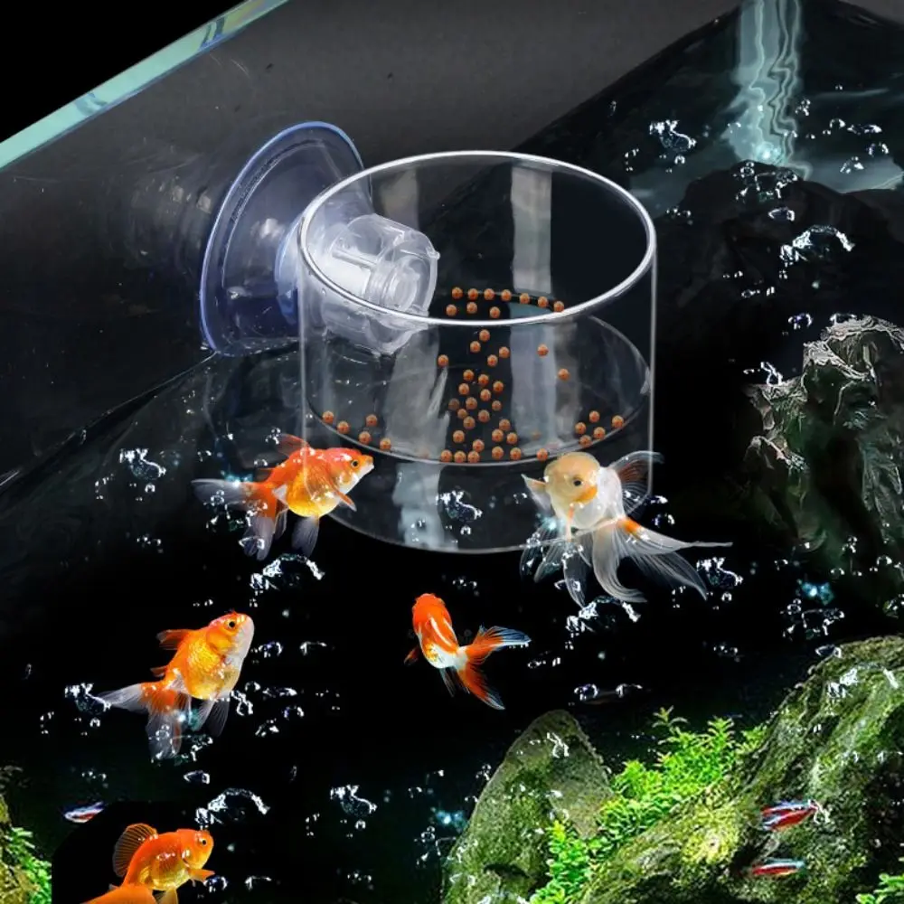 Rectangle/Round Aquarium Suction Cup Feeder Transparent Acrylic Acrylic Aquarium Fish Feeder with Suction Cup Fixed-Point