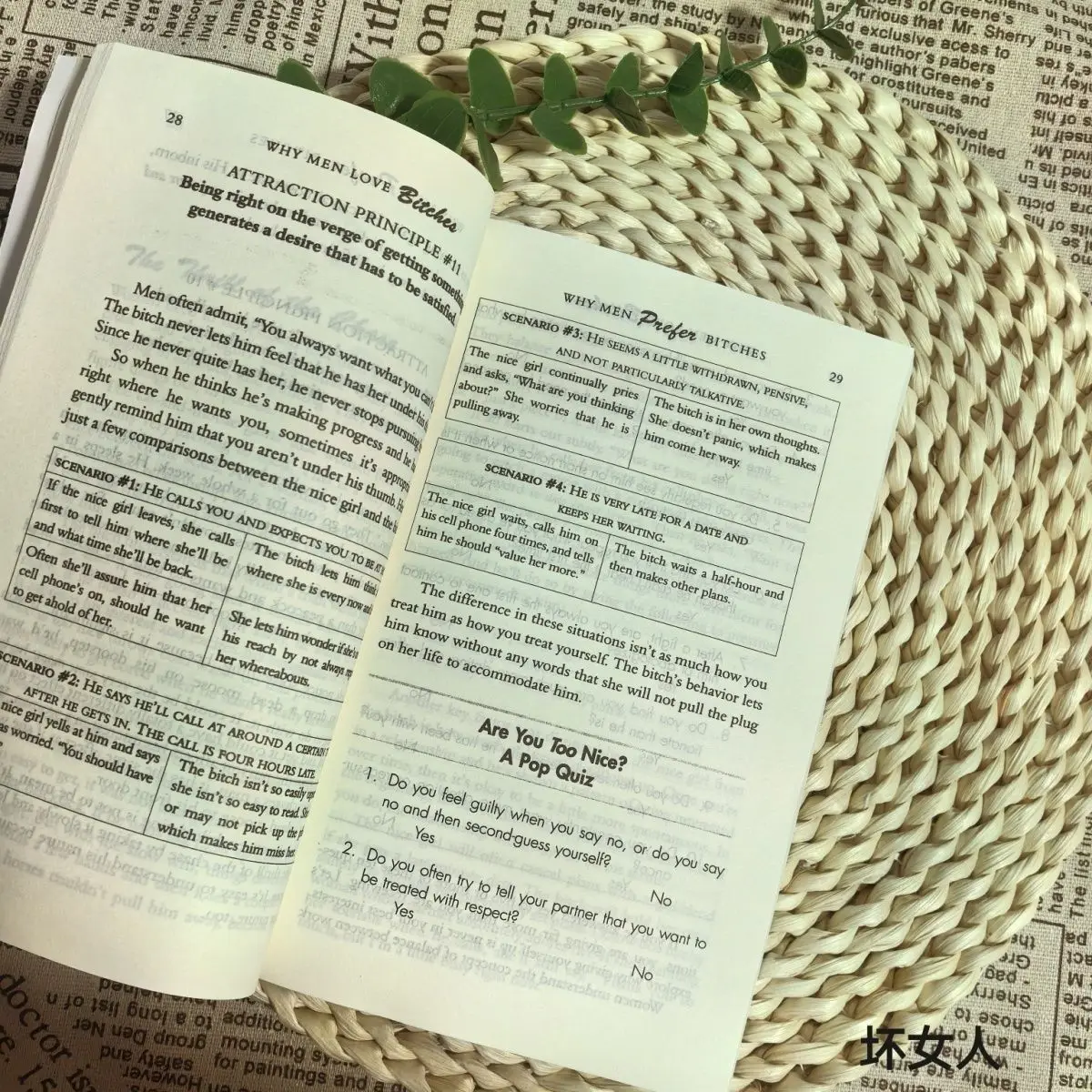 لماذا يحب الرجال العجائب: من ممسحة إلى الفتيات الأحلام - دليل المرأة للالتصاق بنفسها في علاقة