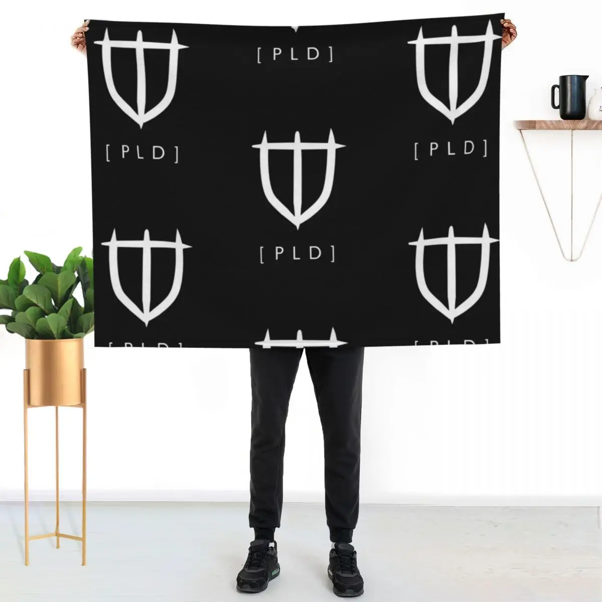 Paladin (white) Throw Blanket christmas decoration Cute Plaid manga Tourist warm winter Extra Large Throw Blankets