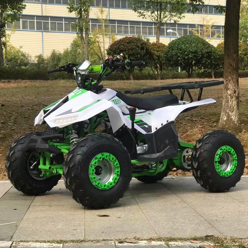 110cc Mini Kids Quad Bike ATV with CE