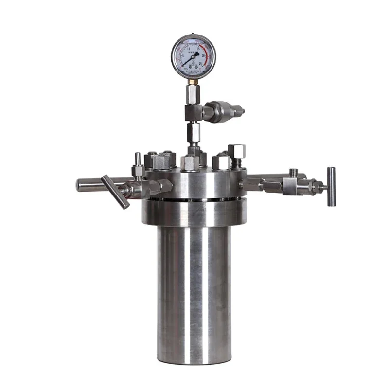 Stainless Steel Static Sealing Simple High Pressure Reactor Autoclave