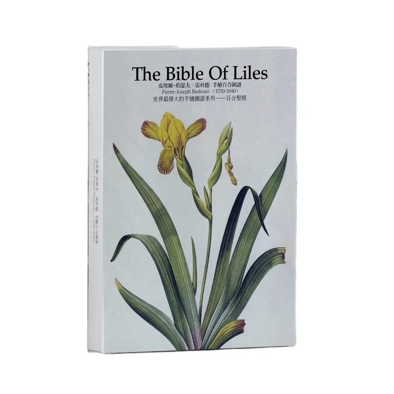 32 Sheets/Set The Bible Of Liles Large Paper Postcard/Greeting Card/Message Card/Christmas and New Year Gift Card