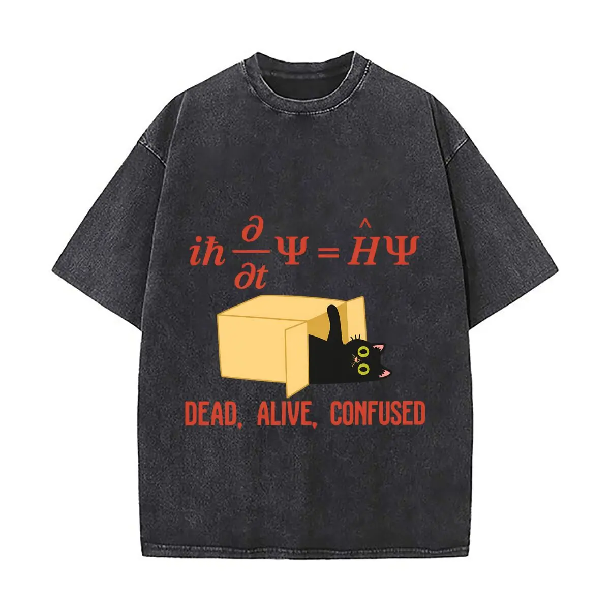 Schrodinger Equation Quantum Mechanics Cat Dead Alive Confused Vintage Distressed Loose Streetwear Tops for Campus Days