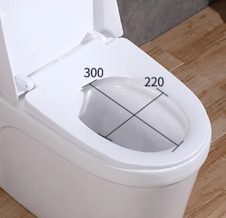 Modern Household Super Swirl Siphon Water Pumping Toilet Odor-Free Splash-Proof Large Pipe Anti-Blocking Mute Villas