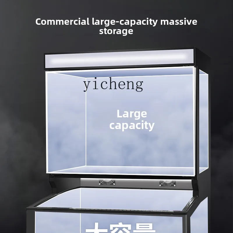 

LSL Convenience Store Cabinet Freezer Ice Cream Popsicle Refrigerated Frozen Display Cabinet