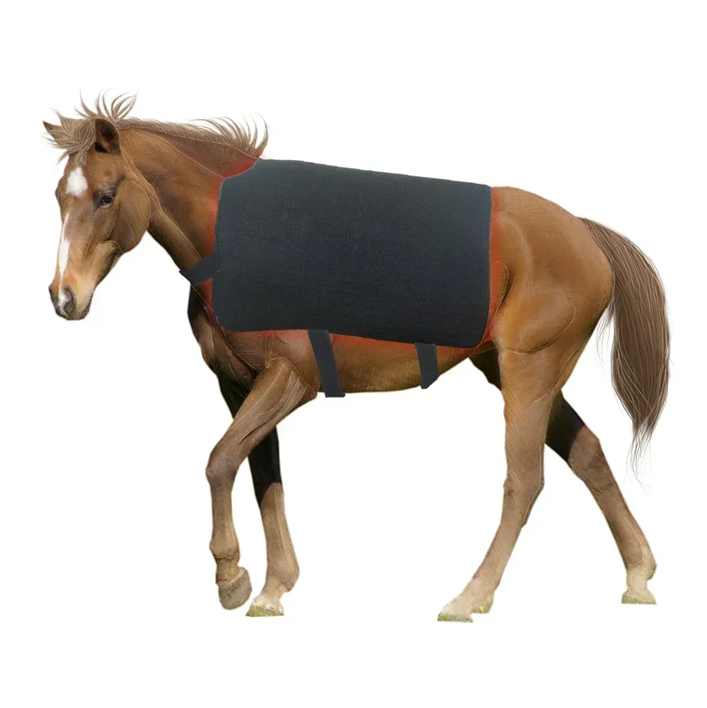 

New arrival 115x90cm 660nm 850nm near infrared red light therapy mat for horse back pain relief