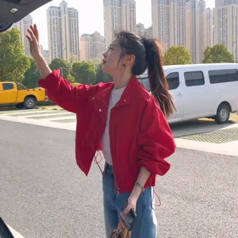 

Свободная универсальная повседневная куртка с воротником-стойкой, короткая, весна-осень 2023 г.