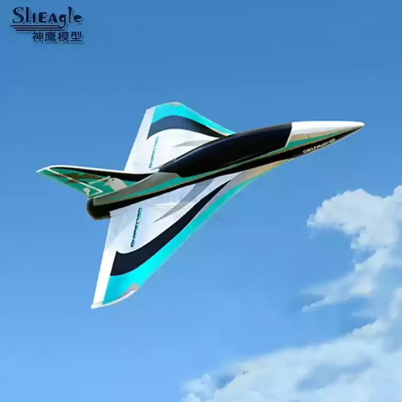 Blackbird 50mm Rc Plane Culvert High-speed Delta Wing Electric Fixed Wing Aircraft Remote control Aircraft 11 Leaf Toy Custom