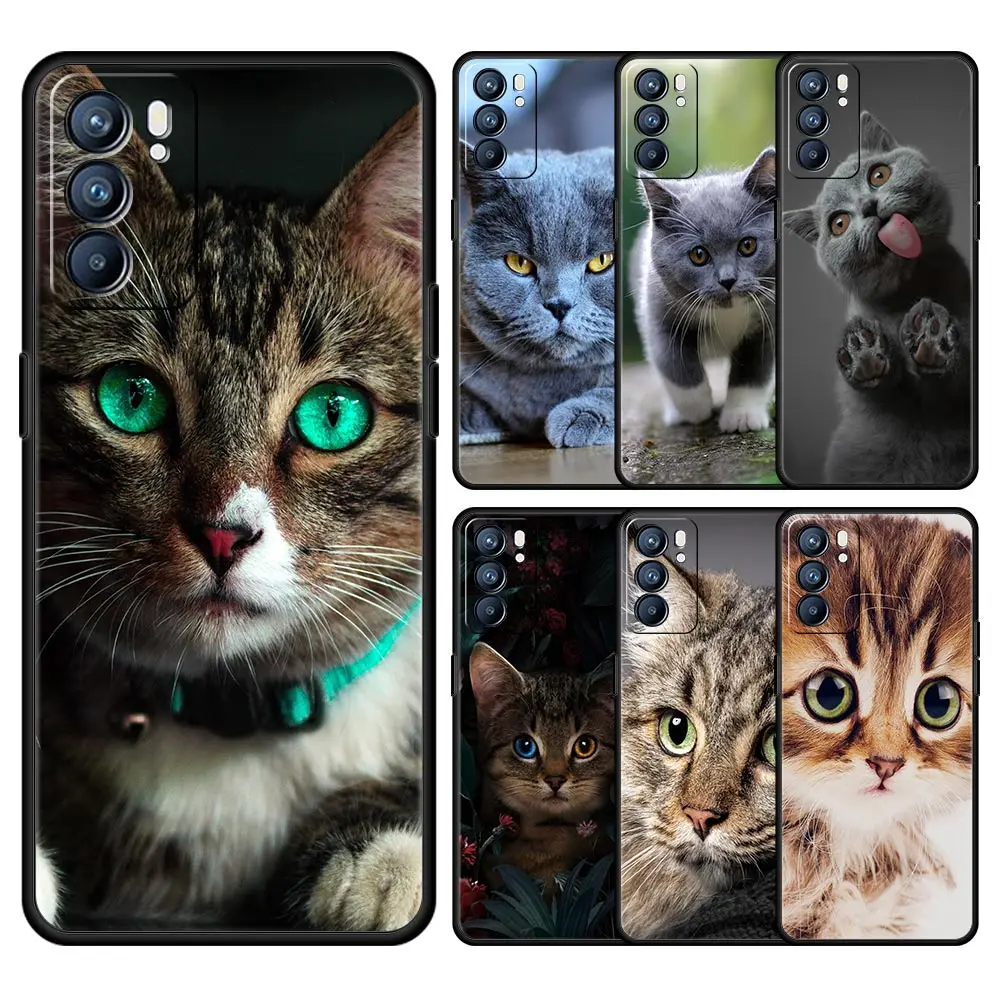 Cartoon Cute Cats Phone Case For Oppo A54 Reno7 SE Reno6 Pro Plus 5G Find X5 A53 A52 A9 2020 A95 A16 A76 A74 A15 A12 Soft Cover