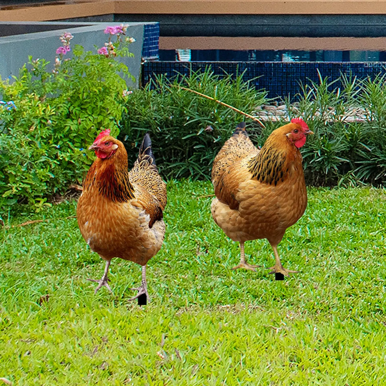 

2x Hen Statue Garden Stakes Animal Sculptures for Floor Farmhouse Patio