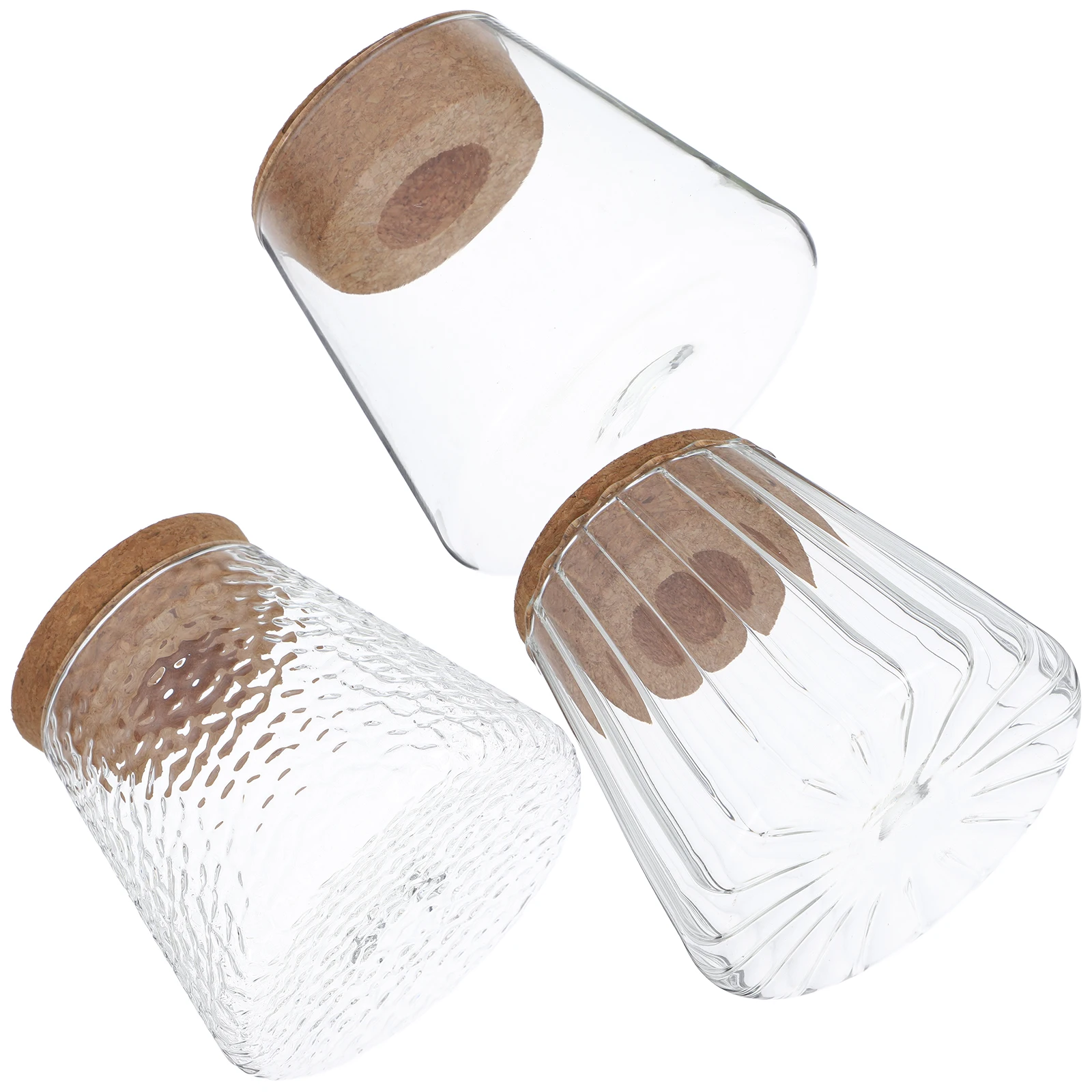 

3 Hydroponic Plant Bottles Transparent Vases Desk Accessories propagation vases glass terrarium hydroponic planter desktop