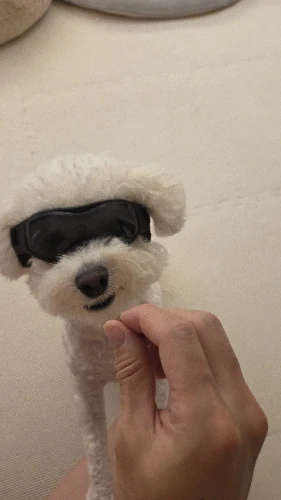 구매후기