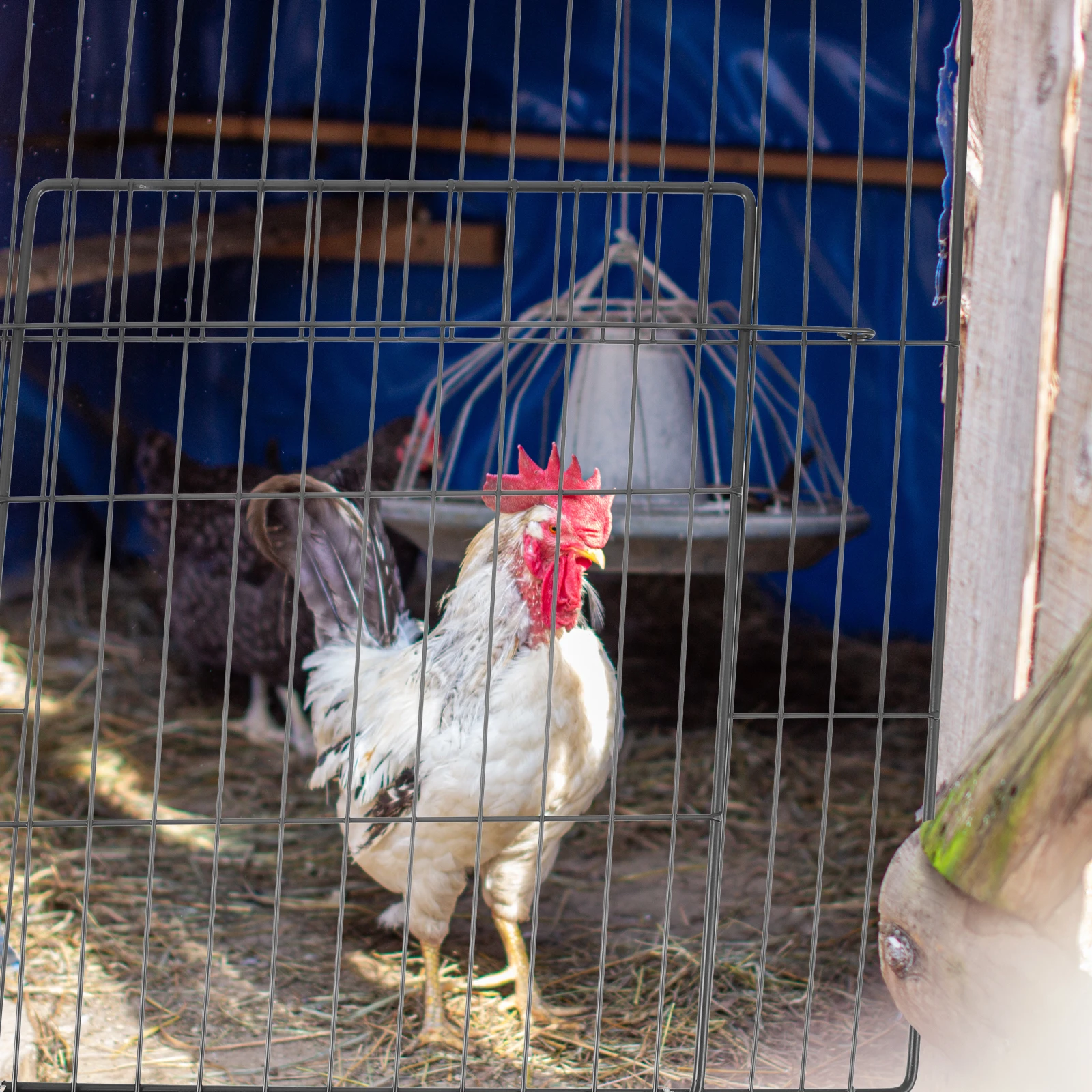 

Pet Cage Door Iron Panel Replacement Mesh Wire Cage Accessories Cat Dog Gate Panel Easy Install Durable Fence Door for Small