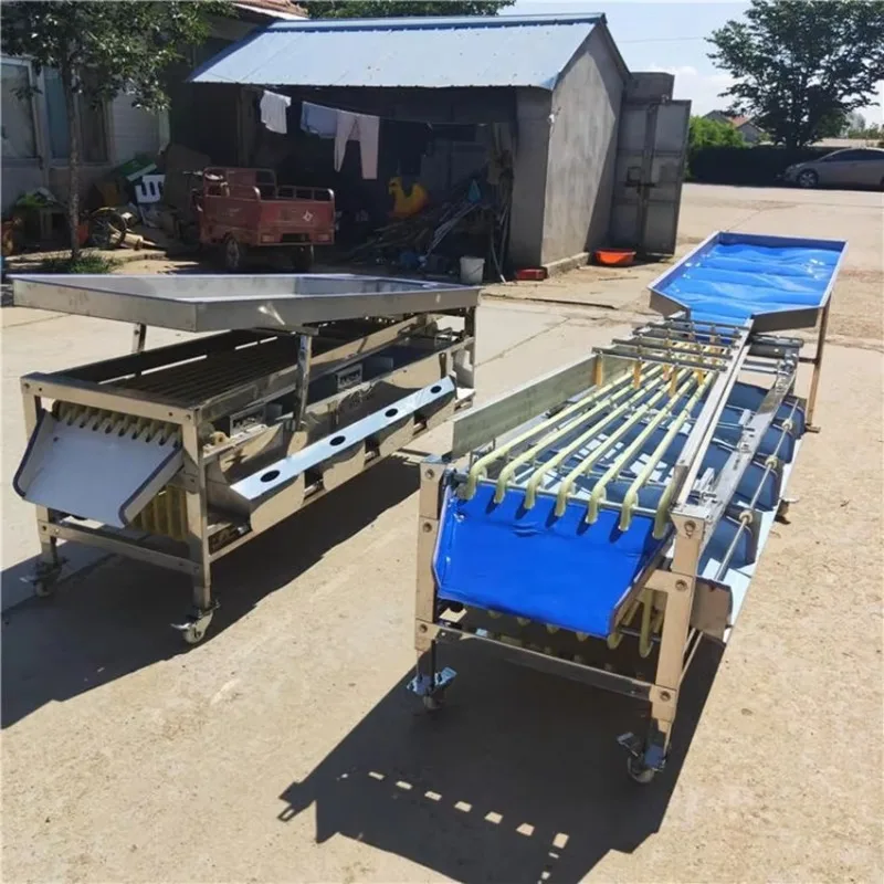 Roller Type Fruit Size Sorting Machine Automatic Fruit Grading Separator Equipment For Berry Small Fruit Farm Processing Use