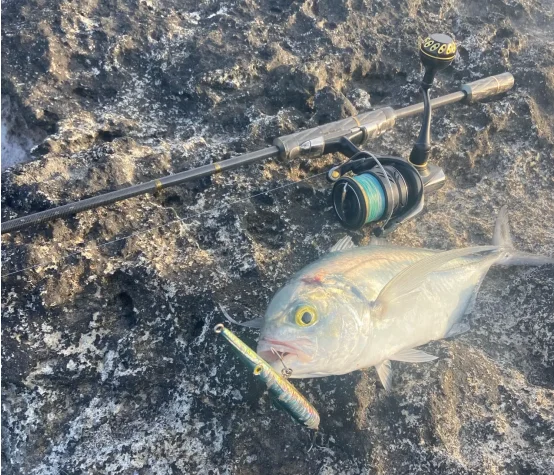 Kingdom Angelköder, 11 g, 13 g, 30 g, 40 g, 205 mm, 130 mm, langer Wurfnadel, Bleistift, künstliche Stickbaits, sinkender schwimmender Angelköder – Detail 1