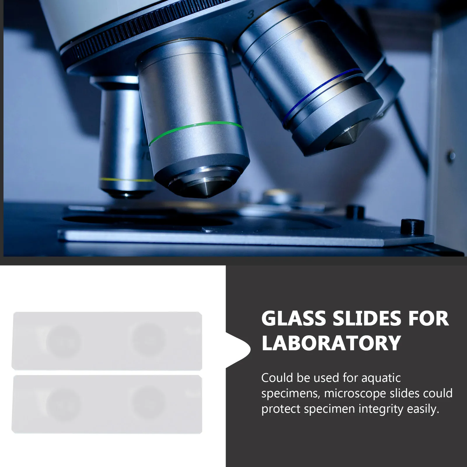 

50 шт. двойных вогнутых стеклянных предметных стекол для микроскопа, стабильные, для лабораторного использования, для наблюдения за образцами водных организмов, для обучения