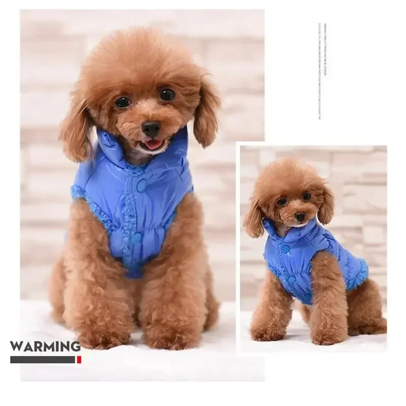 Warm Dog Clothes Winter Pet Down Jacket Dog Clothes for Small Dogs Chihuahua French Bulldog Cats Pet Costume Puppy Coats