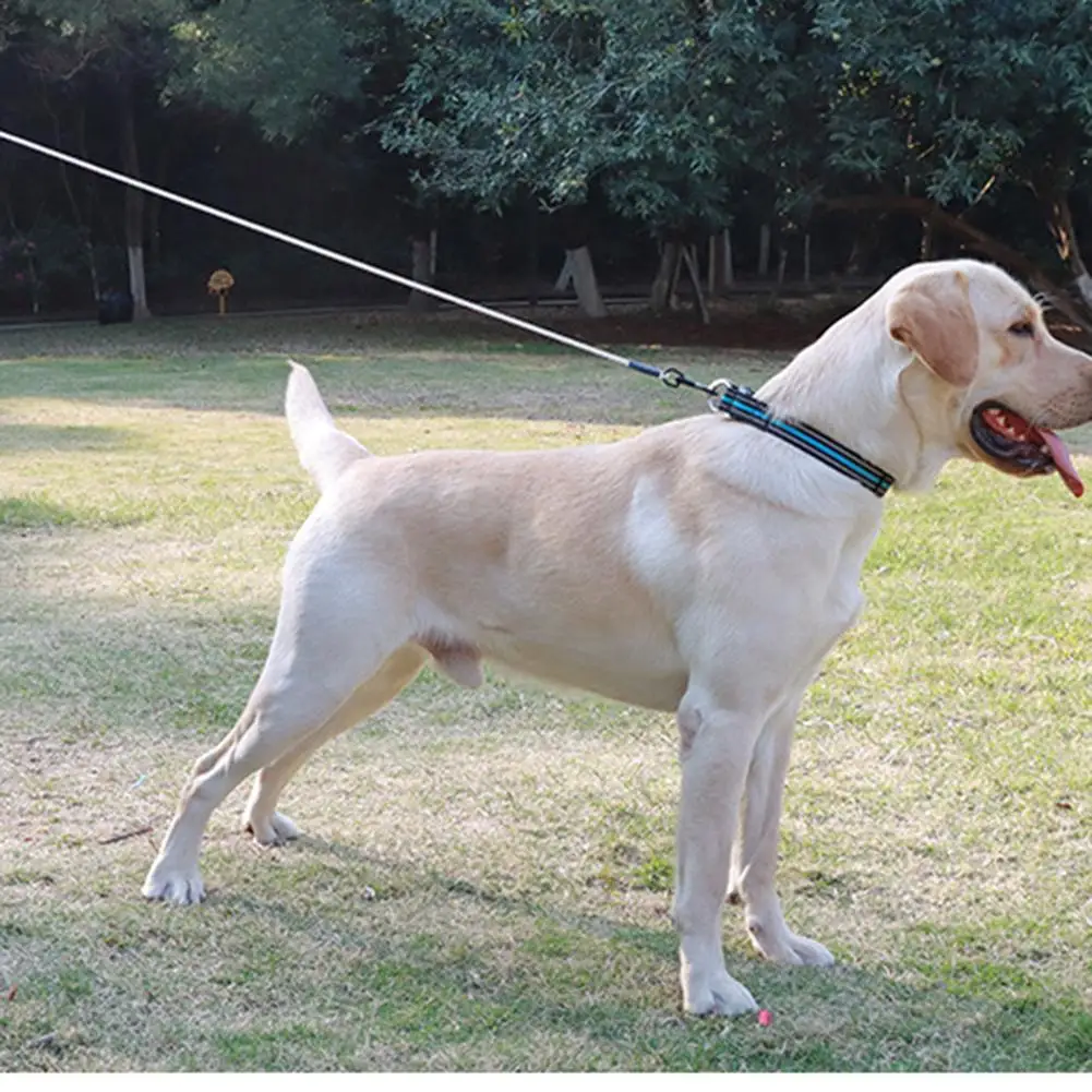 Correa de alambre de acero reflectante para perros pequeños, medianos y grandes, accesorios para perros, antimordeduras, novedad