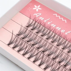 10D Eyelash cluster 1 Box/60 Bunches Mink Eyelashes Natural 3D Russian Individual Eyelash extension Makeup Tool Lashes Wholesale