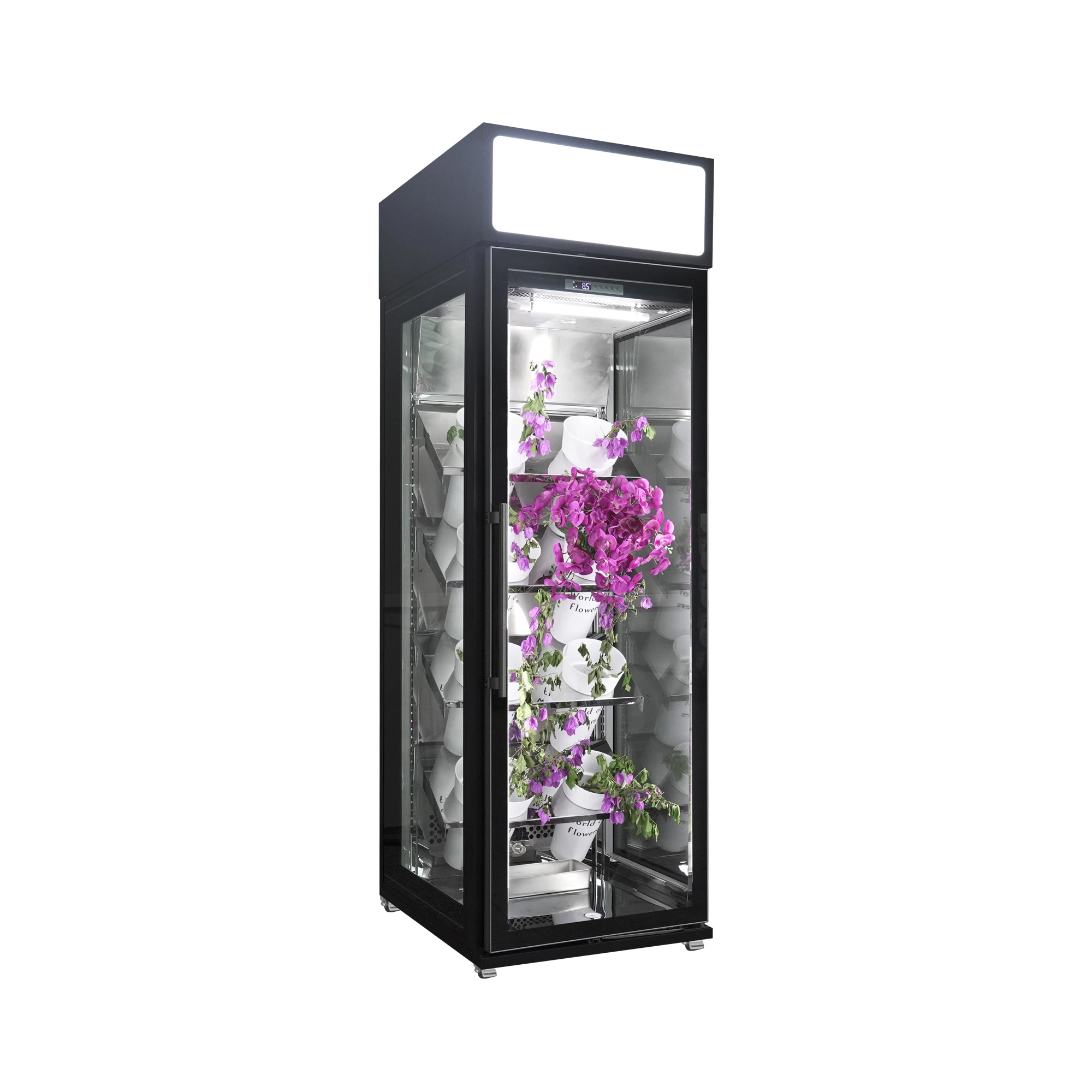 Single Door Flower Cooler Full Glass Display Glass Cabinet with Light Emitting Diode Display Head