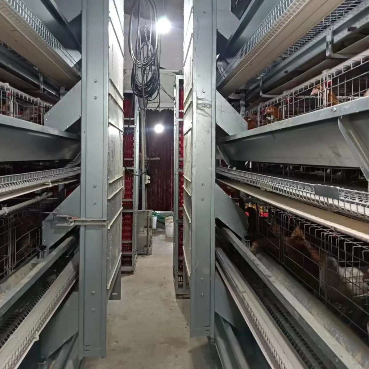 

Новое крупногабаритное многоярусное оборудование для кур-несушек: клетки для бройлеров, усиленные, полностью автоматизированные, высокопроизводительные, стальные, для птицефабрик