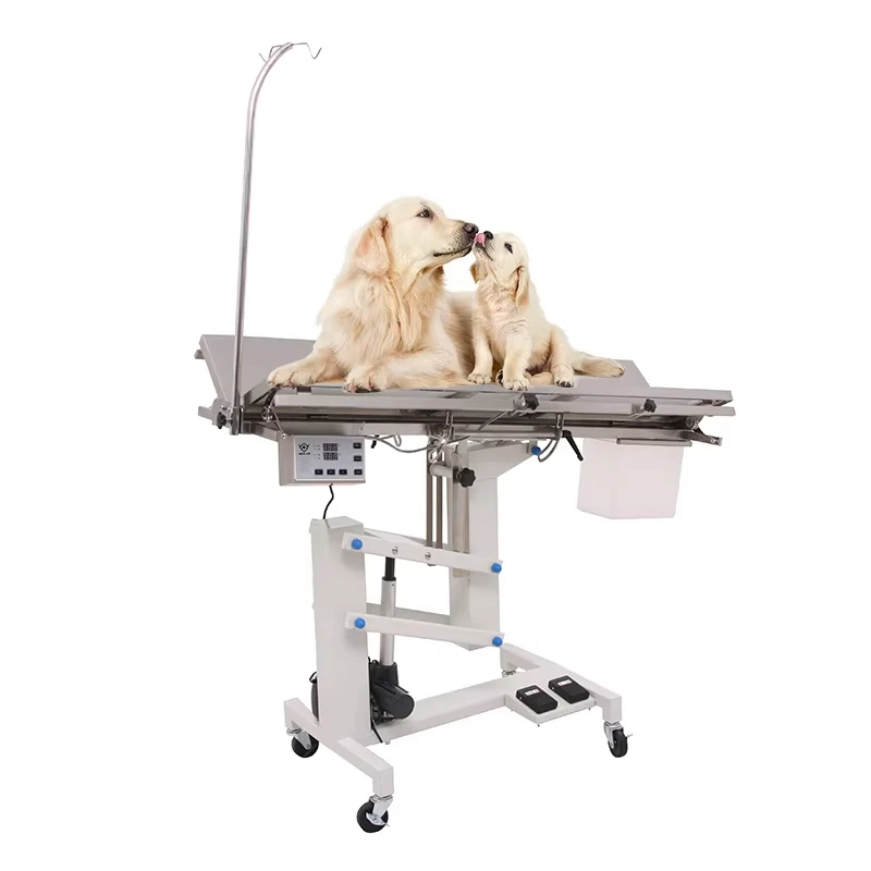 V-shaped Dog Veterinary Clinic Operating Table Pet Operation Veterinary Instruments Diagnosis Animal Use