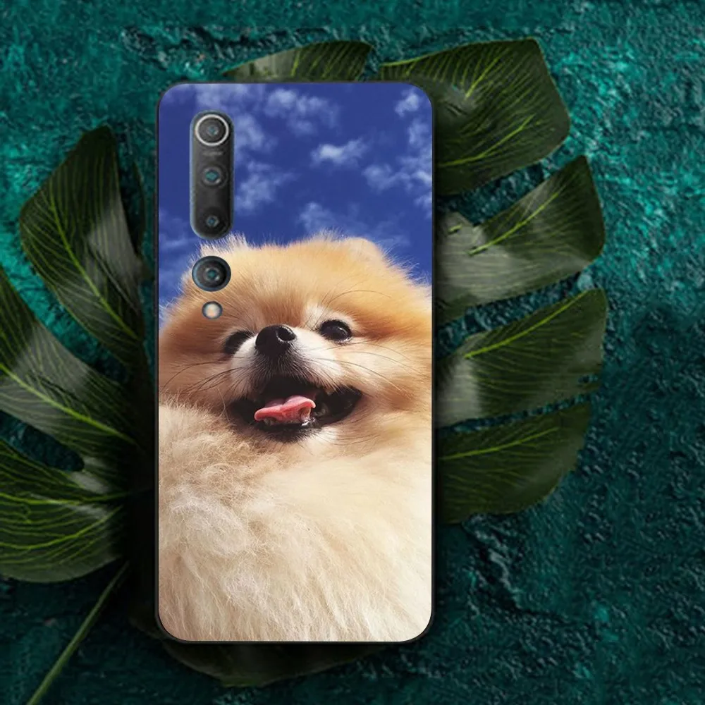 Cute Pomeranian Dogs Phone Case For Redmi Note 4 X 5 A 6 7 8 T 9 9S 10 11 11S 11Epro Poco M3 pro