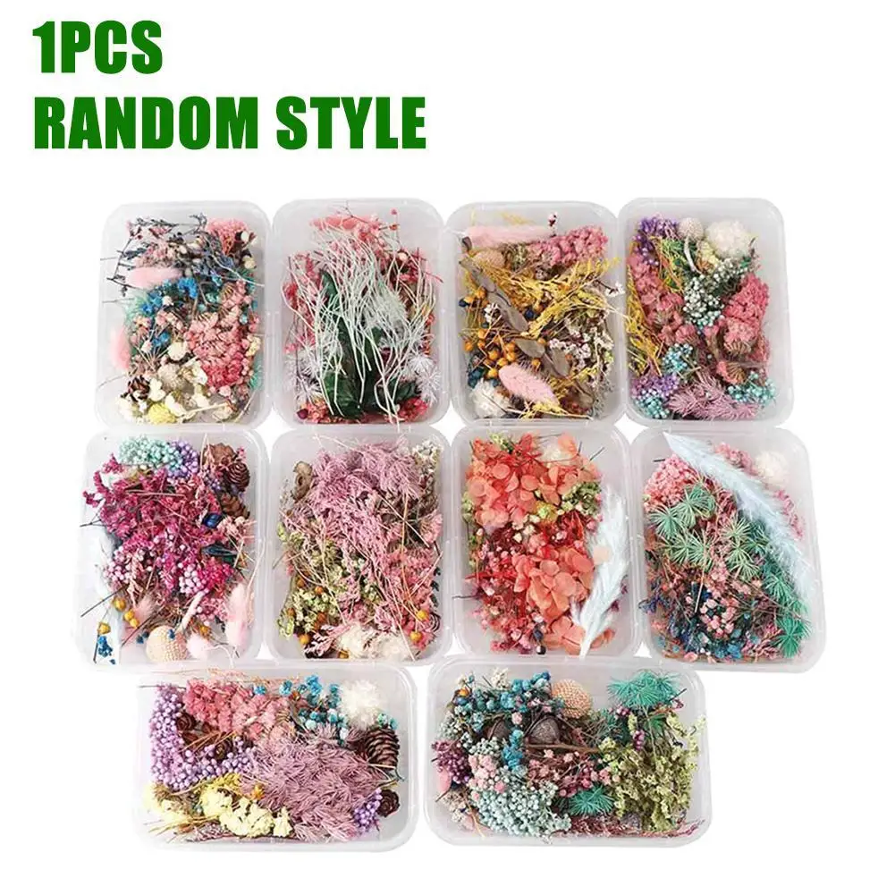 Colorful Natural Dried Flowers For Epoxy Resin Handmade Crafts DIY Bouquet Garland Candle Making Home Wedding Box Flower Decor