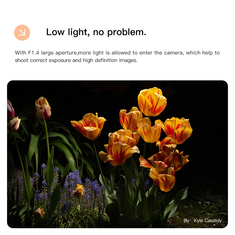TTArtisan 50mm F1.4 フルサイズマニュアル大口径レンズ Sony E Nikon Z Canon R EOSR Leica Sigma Lマウント A7R A7M R8 R6 ZFC対応
