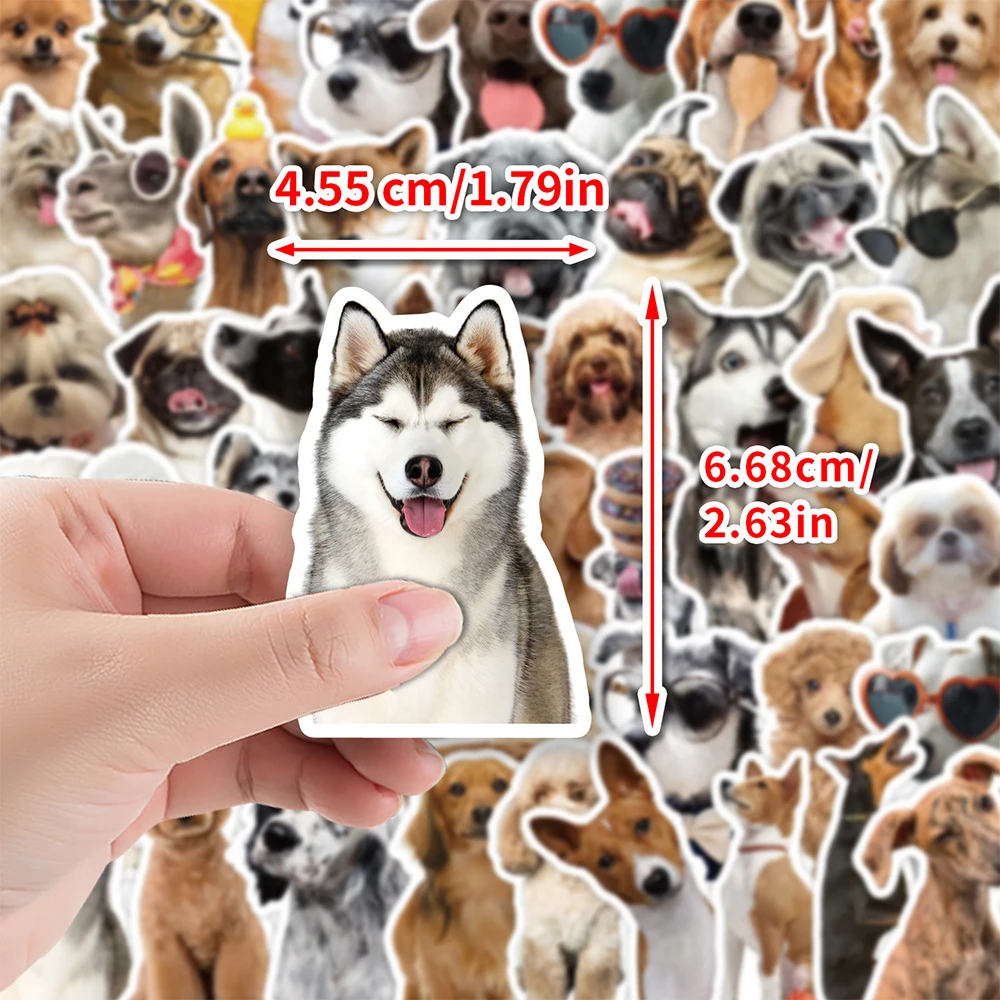 10/30/50pcs Carino Divertente Pet Dog Meme Adesivi Kawaii Cucciolo Animali Adesivo FAI DA TE Skateboard Bagagli Telefono Laptop Decalcomanie Decorazione